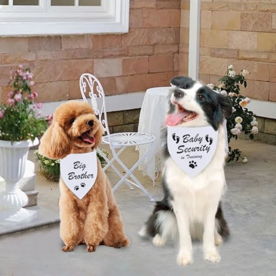 Blank Dog Bandanas White X 1PC - Bandana Blank White บทวิจารณ์และราคา