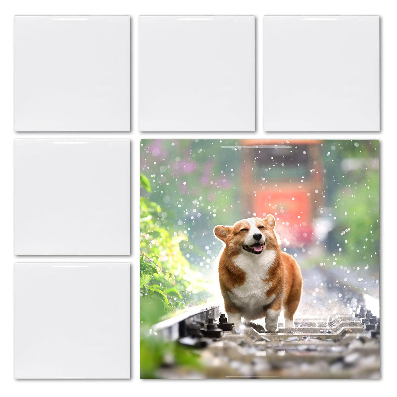 20pcs 4' X 4' Sublimation Blan - Ceramic Tile Blank บทวิจารณ์และราคา
