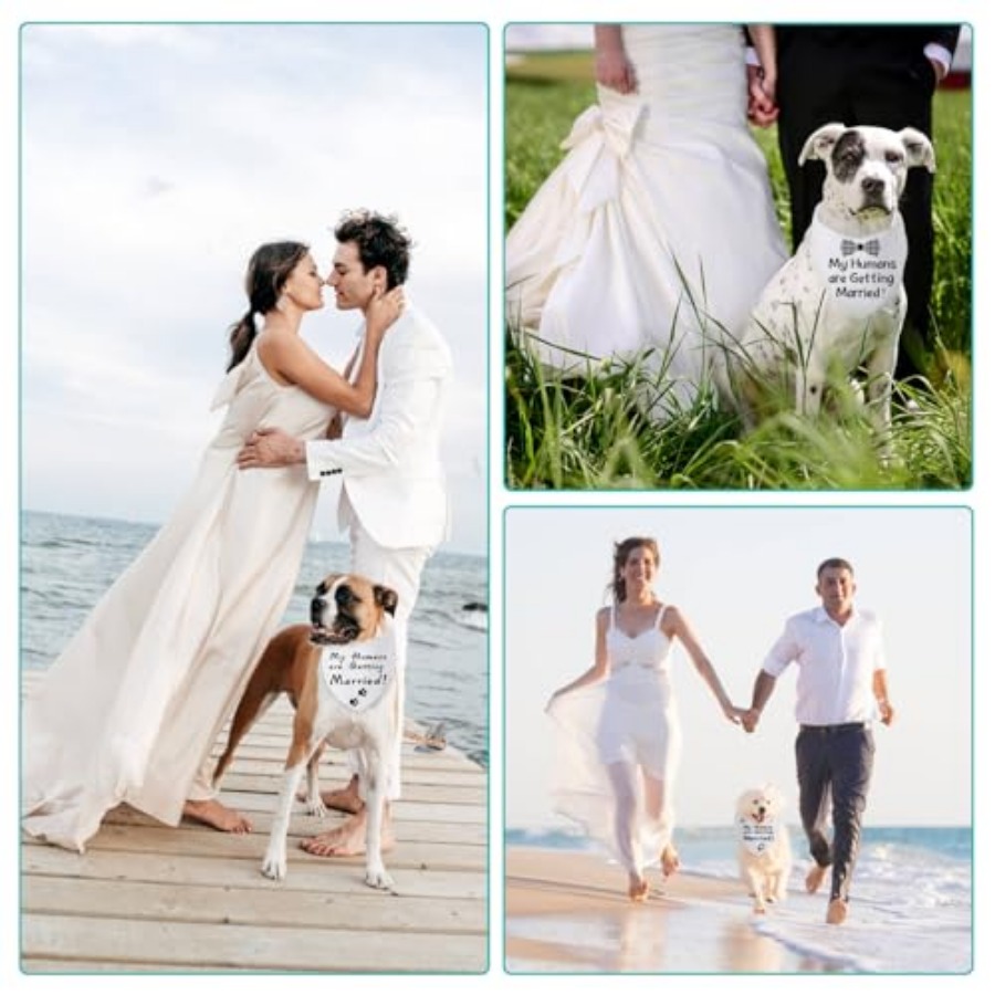 Blank Dog Bandanas -1PCS, DIY  - Bandana Blank White บทวิจารณ์และราคา