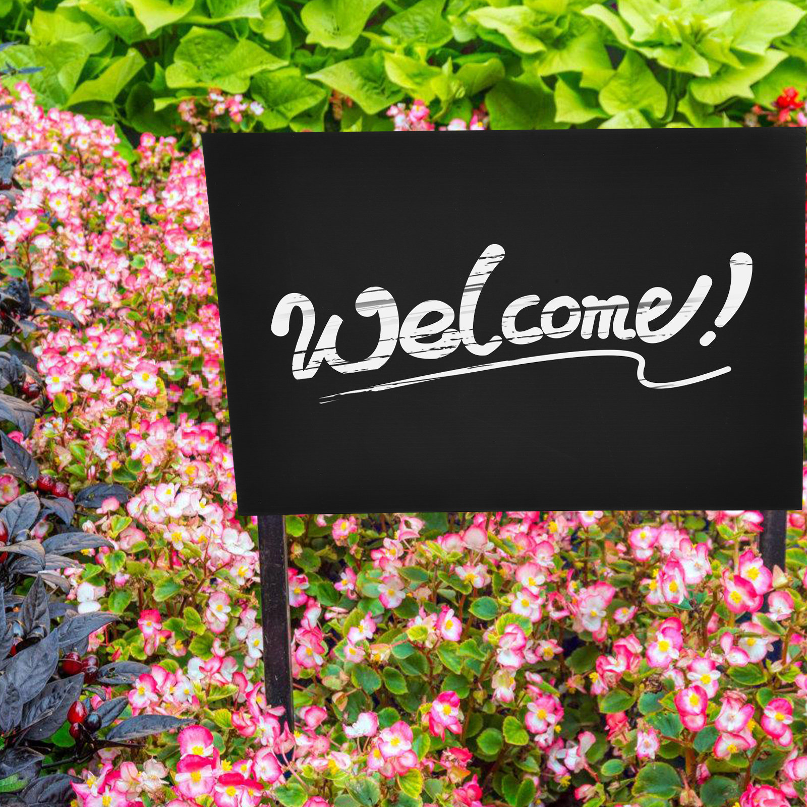 2Pcs Professional Black Blank  - Yard Sign Blank บทวิจารณ์และราคา